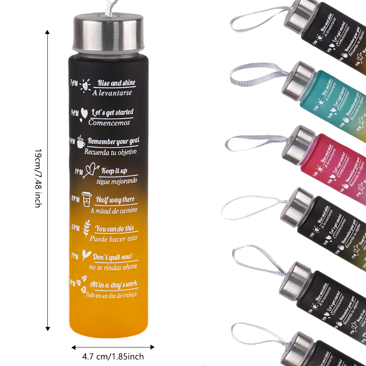 300ml Water Bottle BPA Free le - Outdoor Sport Field avis et prix