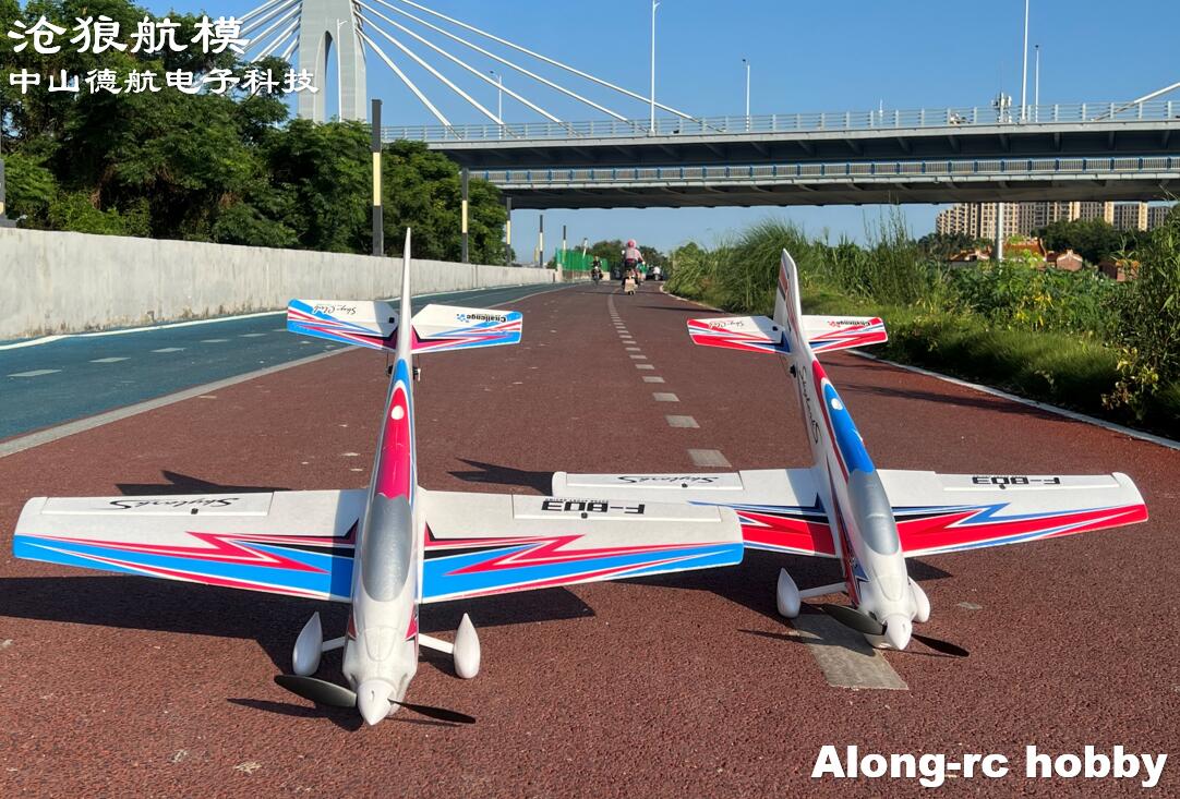 F803  F3A Skylarks 1000mm Wing - Outdoor Sport Hobbies avis et prix