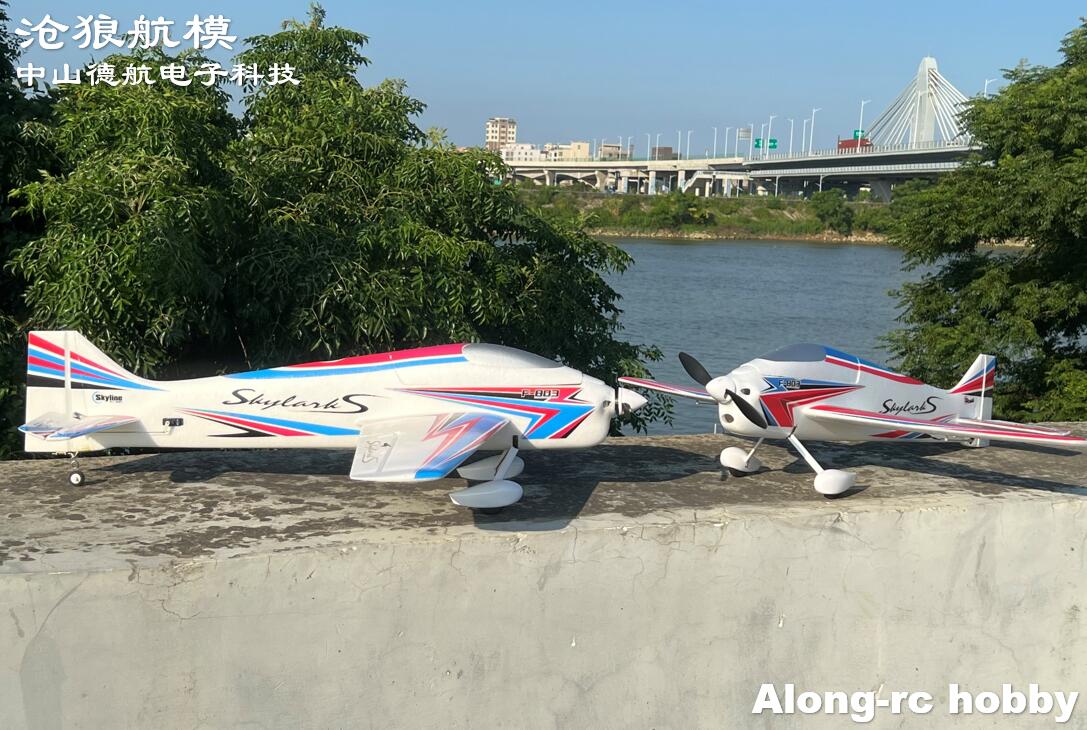 F803  F3A Skylarks 1000mm Wing - Outdoor Sport Hobbies avis et prix